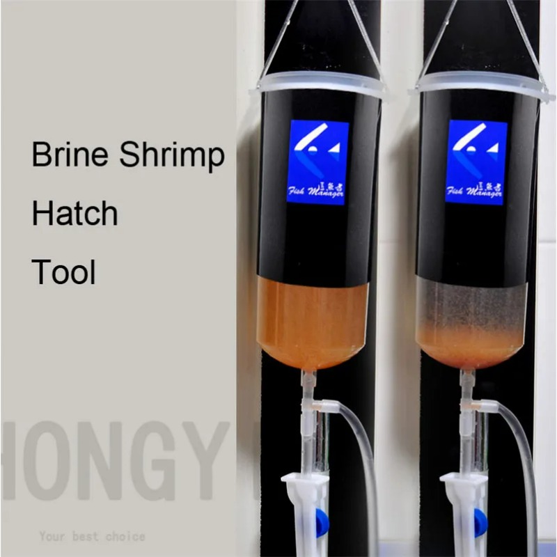 Baby Food Shrimp - Fee garnelen ei artemia lebendig einfach