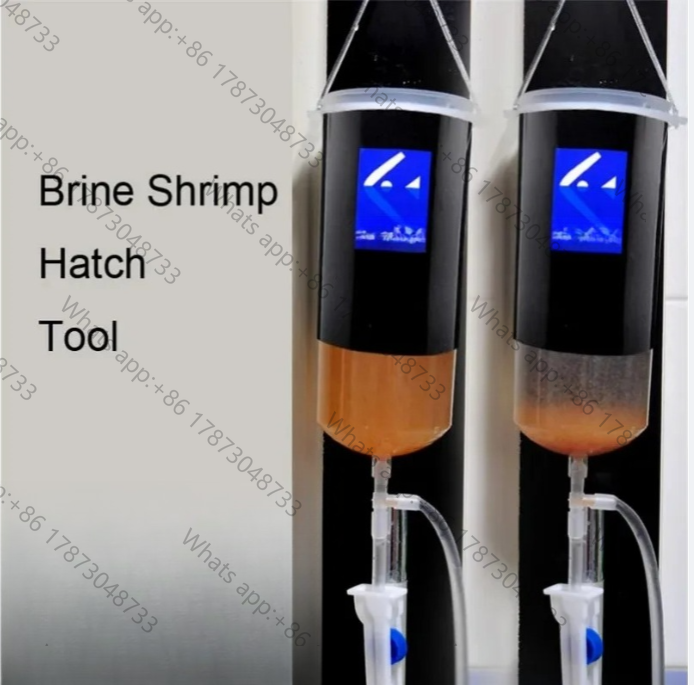 Lebende Artemia-Eier, einfach  – Baby Food Shrimp Bewertung und Preis
