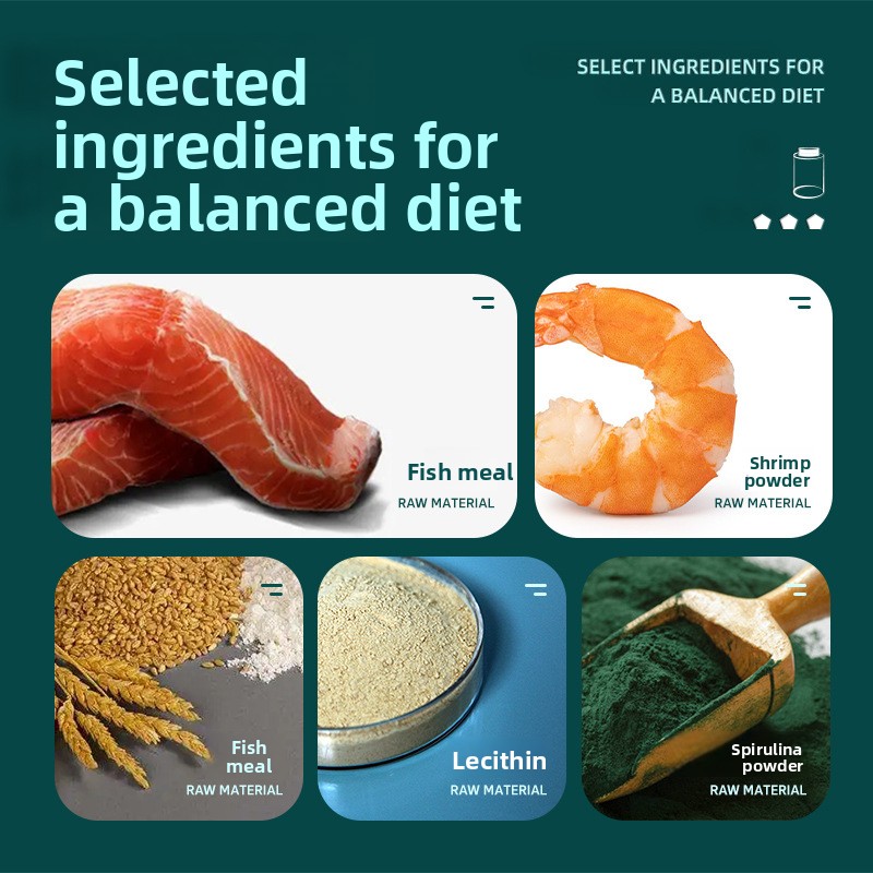 BESSN Ganzstufenschildkrötenfu – Baby Food Shrimp Bewertung und Preis