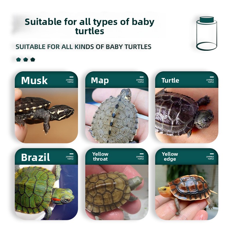 BESSN Ganzstufenschildkrötenfu – Baby Food Shrimp Bewertung und Preis