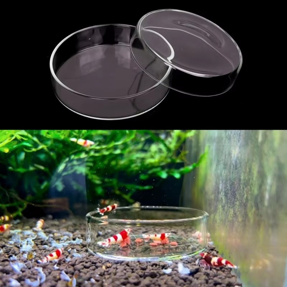 Futternapf aus Glas für Aquari – Baby Food Shrimp Bewertung und Preis