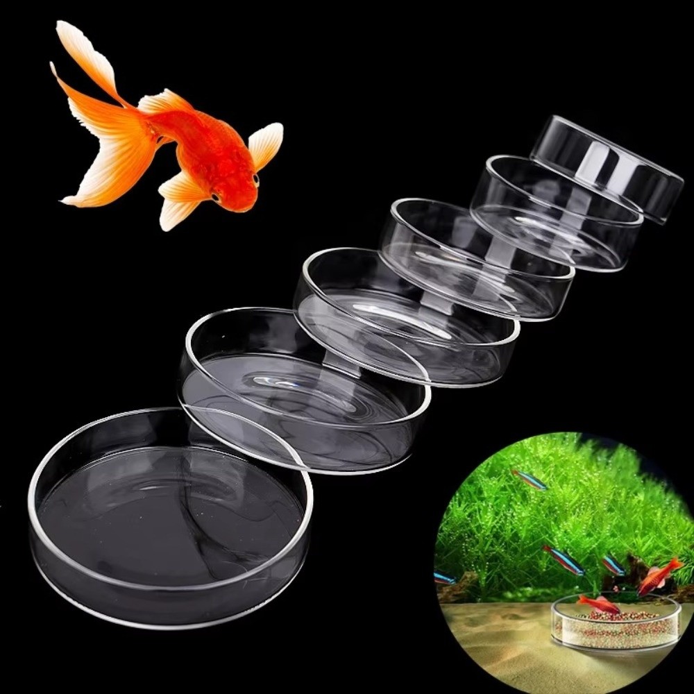 Futternapf aus Glas für Aquari – Baby Food Shrimp Bewertung und Preis