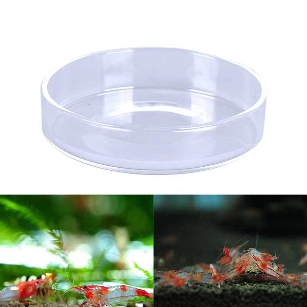 Futternapf aus Glas für Aquari – Baby Food Shrimp Bewertung und Preis