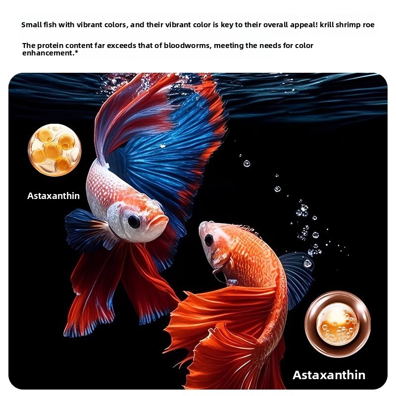 Yee Krill & Baby Shrimp Trocke – Baby Food Shrimp Bewertung und Preis