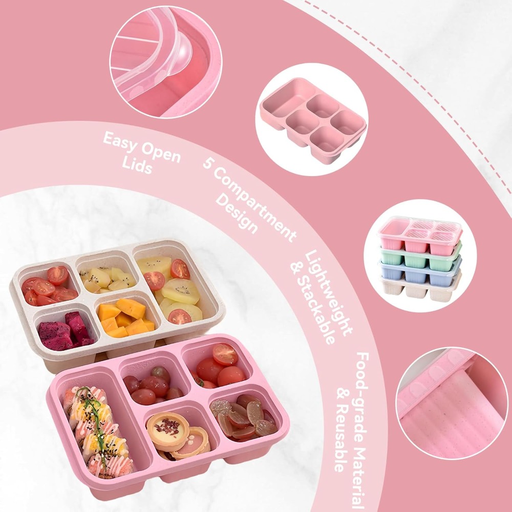 Bento-Lunchbox mit wiederverwe – Snack Container Travel Bewertung und Preis