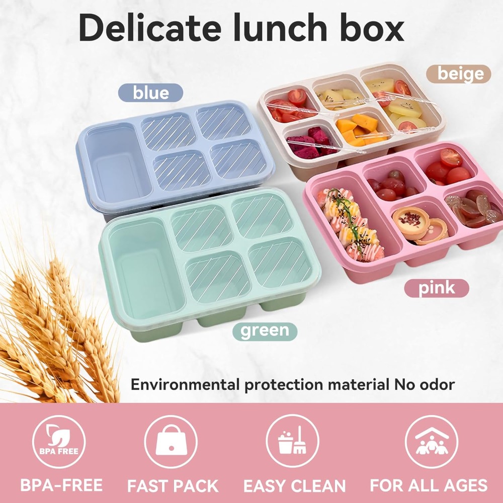 Bento-Lunchbox mit wiederverwe – Snack Container Travel Bewertung und Preis